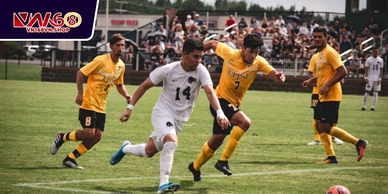 Điểm danh 4 bộ môn được nhiều hội viên yêu thích